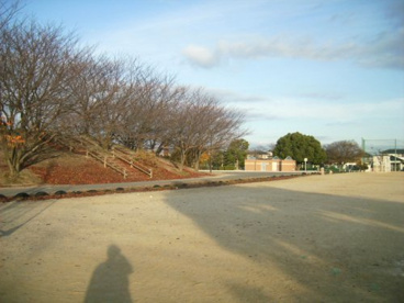 安徳公園の画像3