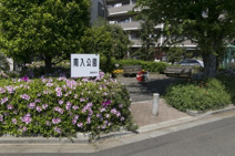 南入公園