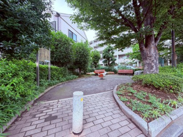 南入公園の画像1