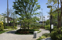 北原三丁目けやき公園