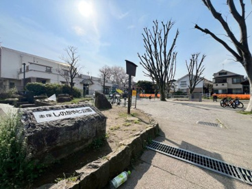 しのがやと公園の画像1