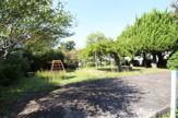 中央公園