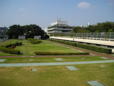 落合中央公園の画像1