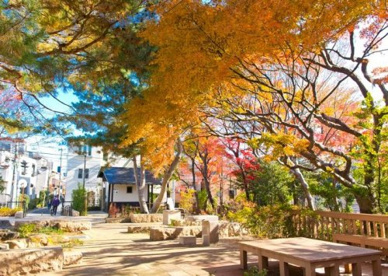 赤松ぼっくり庭園緑地の画像1