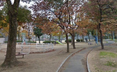 の画像