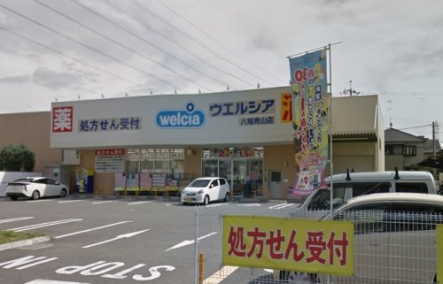 の画像