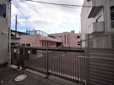 新渡戸文化子ども園の画像2