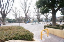 公園 野沢公園
