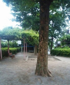 保谷なかよし公園の画像3
