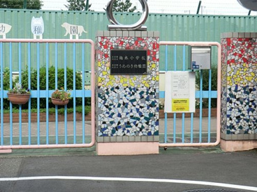 うめのき幼稚園の画像1