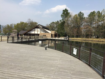 山梨県森林公園金川の森の画像2