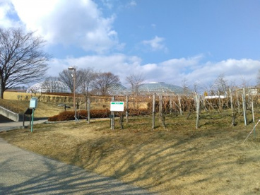 笛吹川フルーツ公園の画像3