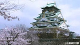 大阪城天守閣
