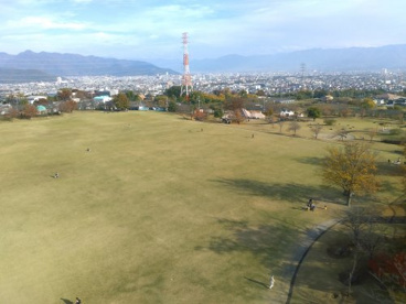赤坂台総合公園の画像3