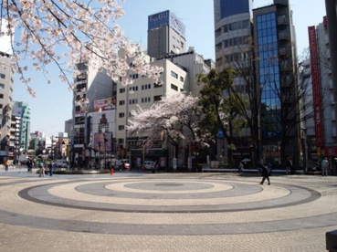 池袋西口公園の画像1