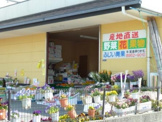 ふじい青果