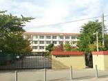 野畑小学校