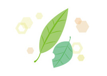 南大橋１号緑地