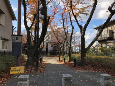 北山田公園の画像3