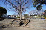 国分寺台加茂原公園