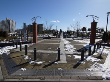 新田さくら公園の画像1