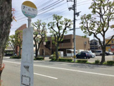 和泉町バス停