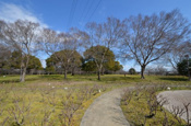 尼崎市立農業公園