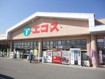 エコス TAIRAYA上三川店の画像1