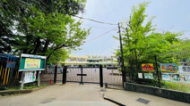 みどりが丘保谷幼稚園