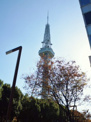 名古屋テレビ塔