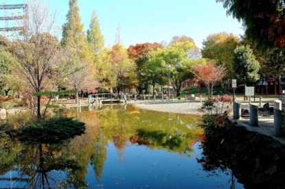 落合公園　ドッグランの画像1