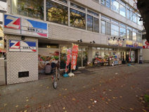 ベジタブル フル ユネスコ