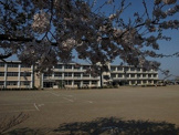 下野市立薬師寺小学校