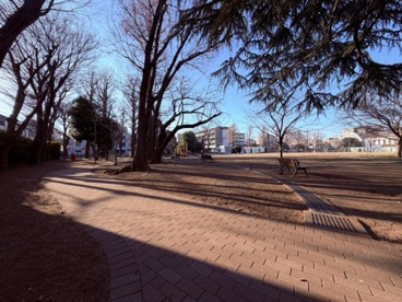 南台いちょう公園 南台いちょう公園の画像1