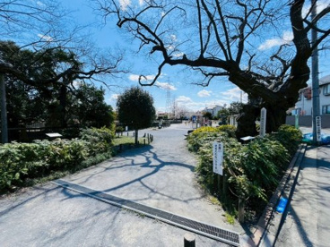 大泉井頭公園の画像2