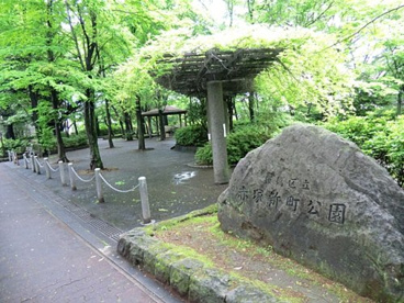赤塚新町公園の画像2