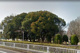 中の池公園の画像