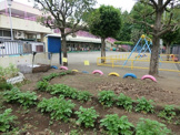 保育園 小平市立上水南保育園