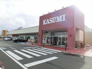 カスミおもちゃのまち店の画像1