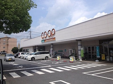 とちぎコープおもちゃのまち店の画像1