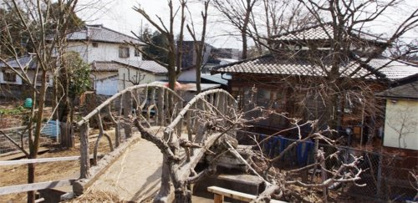ありんこ保育園の画像1