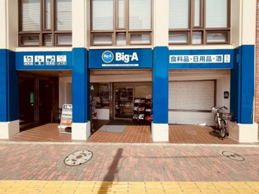 ビッグ・エー 板橋赤塚新町店（旧アコレ 赤塚新町店）の画像2