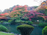 新宿御苑