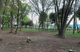 中田中央公園の画像