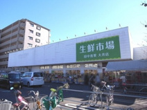 田中青果大井店