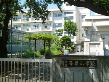 横浜市立篠原小学校の画像1