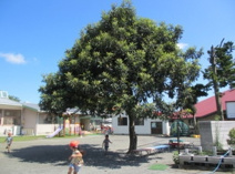 越生町役場 越生保育園