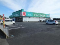 セイムス 鳩山赤沼店