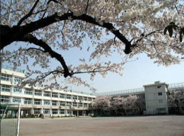 練馬区立上石神井中学校の画像1