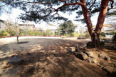 赤松ぼっくり庭園緑地